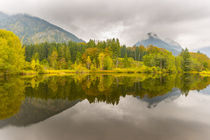 Moorweiher von Walter G. Allgöwer