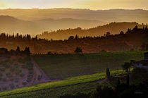 Abendlicht in den Hügeln bei Panzano in Chianti, Toskana, Italien von Klaus Rünagel