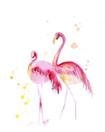 Flamingos by mikart