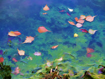 Fall leaves on river 2 by lanjee chee