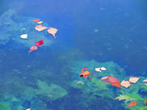 Fall leaves on river 3 von lanjee chee