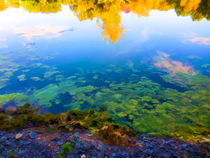 Fall Leaves On River 10 von lanjee chee