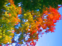 Fall leaves on river 11 by lanjee chee