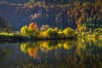 Autumn Reflections von h3bo3