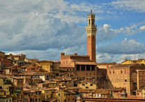 Blick auf Siena von Peter Bergmann