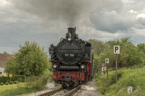 Lok "Berta" auf der Öchslebahn by Thomas Keller