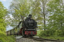 Lok "Berta" auf der Öchslebahn by Thomas Keller