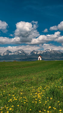 Spring under the High Tatras, Slovakia by Tomas Gregor