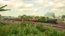 Flying Scotsman at Bristol Temple Meads  von Rob Hawkins