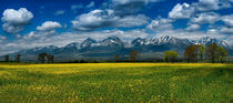 Spring under the High Tatras, Slovakia von Tomas Gregor