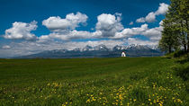 Spring under the High Tatras, Slovakia von Tomas Gregor