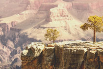 USA - Grand Canyon by Chris Berger