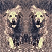 Retro Golden Retriever Zwilling by kattobello