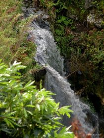 Wasserfall auf Faial by art-dellas