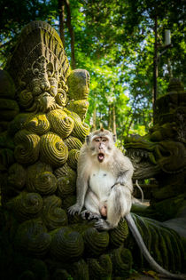 Affe auf Statue by Simon Andreas Peter