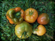 Fresh tomatoes and bell pepper von lanjee chee