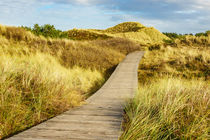 Landschaft in den Dünen auf der Insel Amrum by Rico Ködder