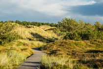 Dünenlandschaft auf Amrum by Rico Ködder