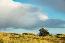 Landschaft in den Dünen auf der Insel Amrum by Rico Ködder