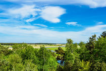 Landschaft am Prerowstrom von Rico Ködder