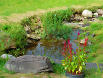 Mountain stream by lanjee chee