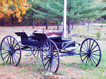 Old carriage cart in garden von lanjee chee