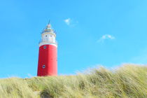 Leuchtturm Texel von Christian Grun