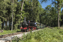 Mallet-Lokomotive 99633 | Öchsle-Bahn von Thomas Keller