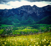 Landscape below Giewont by Tomas Gregor