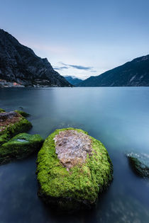 Limone am Gardasee von Florian Westermann