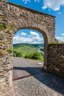 Marienburg - Tor zur Mosel 88 von Erhard Hess