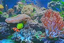 Unterwasserwelt by mario-s