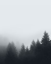 FOREST MIST von nordik