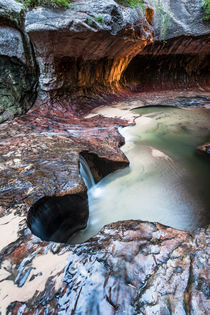 The Subway - Zion Nationalpark von Florian Westermann