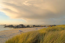 Golden Dunes von Rolf Eschbach