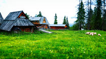 Traditional Polish scenery. Gubalowka, Poland von Tomas Gregor