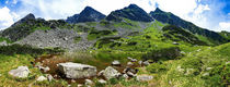 Polish mountains above Gasenicowa valley von Tomas Gregor