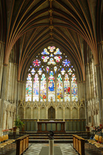 Cathedral in Exeter, Gothik Window von Sabine Radtke
