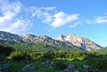 Morgenlicht auf der Reiteralm... 1 by loewenherz-artwork