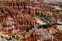 Bryce Canyon von Frank  Kimpfel