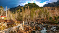 Studeny potok. Cold stream in High Tatras Mountains, Slovakia by Tomas Gregor