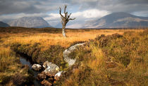 On Rannoch Moor by chris-drabble