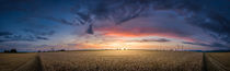 Field sunset Panorama von h3bo3