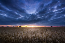 Field sunset  by h3bo3