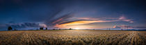 Field sunset Panorama by h3bo3