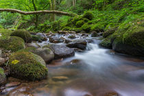 Black Forest Waterfall Fallen Tree von Tobias  Werner