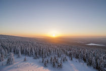 Harzer Winterlandschaft by Patrice von Collani