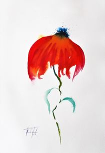 Mohn, verblüht von Theodor Fischer