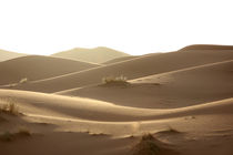 Wüste im Tageslicht von Martina  Gsöls
