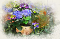 Blue Hydrangea von Elena Oglezneva